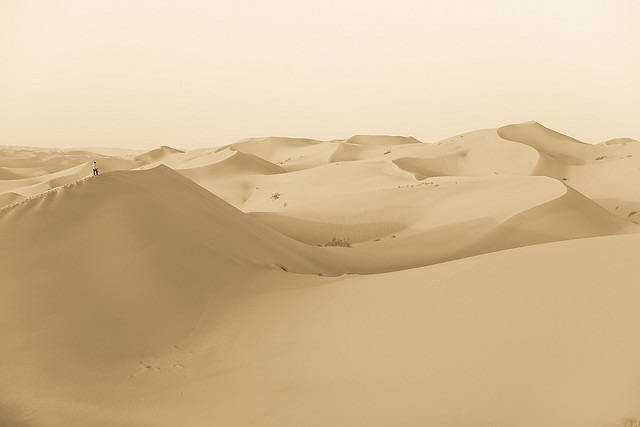 صحراء الربع الخالي