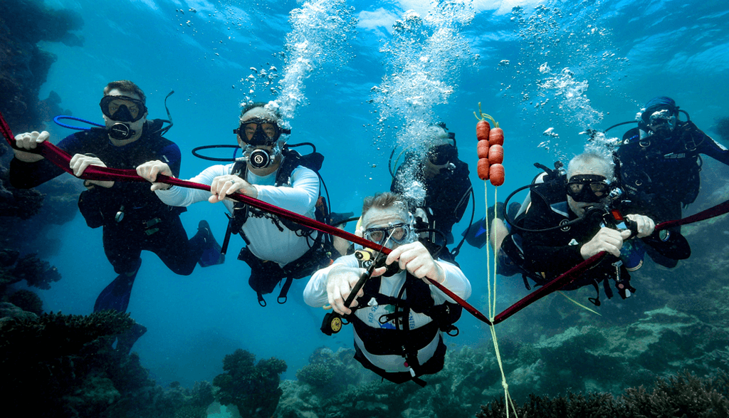 كاوست تفتتح أول قرية "للمعززات الحيوية" المرجانية في العالم