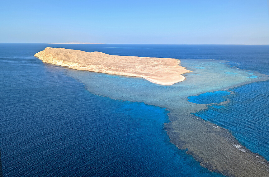 Saudi Arabia to host coral restoration project