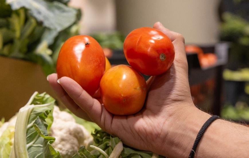 Fresh tomatoes at a market in Buraydah, Saudi Arabia