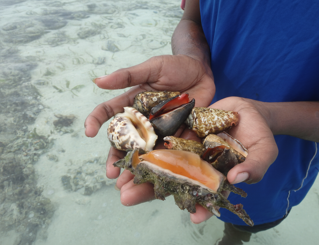 hidden nutritional value of shellfish 2