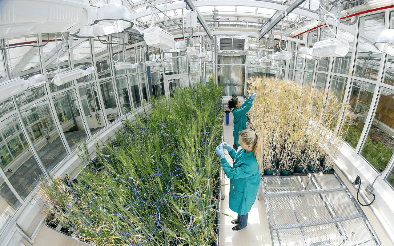 Building food security solutions through innovation and commercialization
