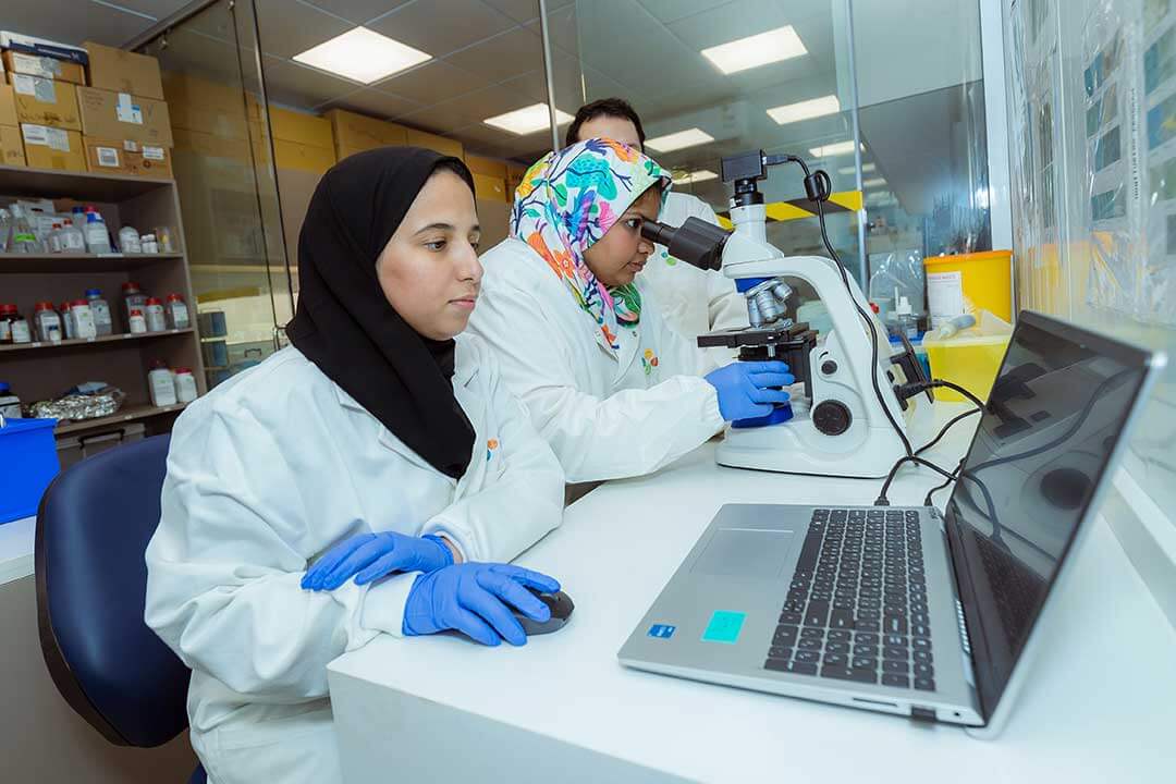 KAUST biotechnology solution could be key to unlocking Saudi food security