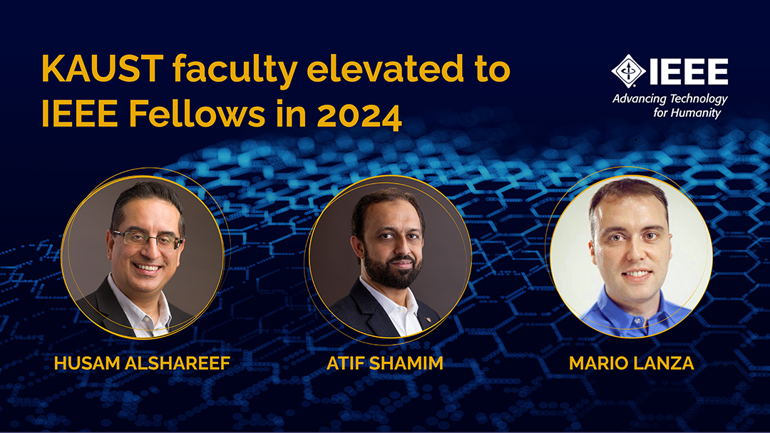 KAUST has three faculty elevated to IEEE fellows in 2024